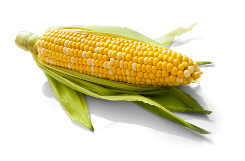 Corn